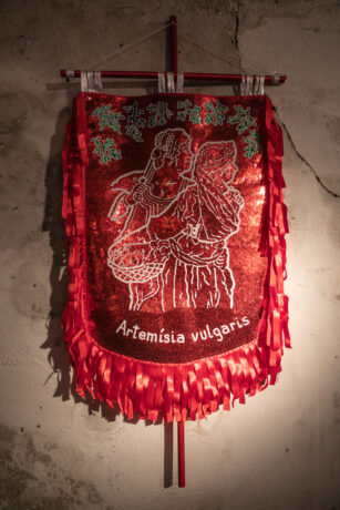  Work(s) by Bruna Amaro.  From activity Baile da Aurora Sincera. 