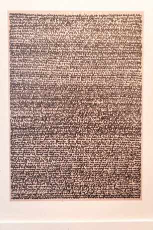  Work(s) by Lenora de Barros.  From activity Solar dos Abacaxis [ArtRio]. 