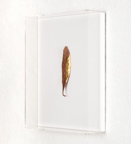  Work(s) by Daniel Steegmann Mangrané.  From activity AFLUENTE [ArtRio]. 