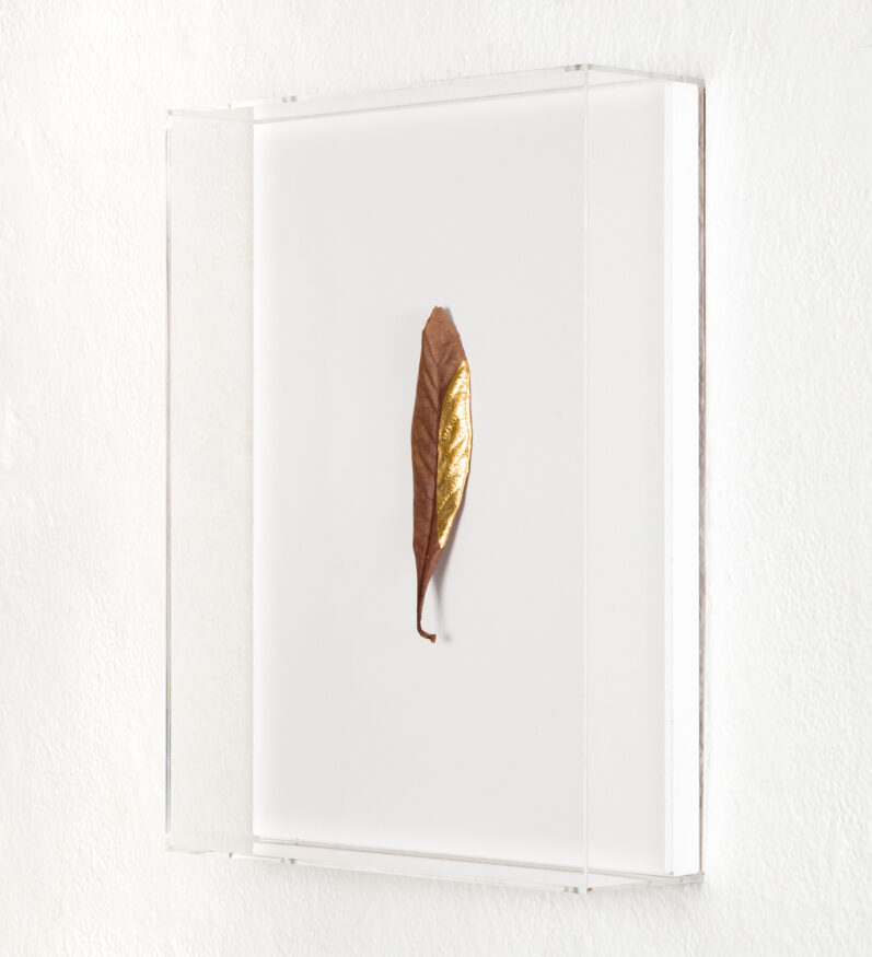  Work(s) by Daniel Steegmann Mangrané.  From activity AFLUENTE [ArtRio]. 