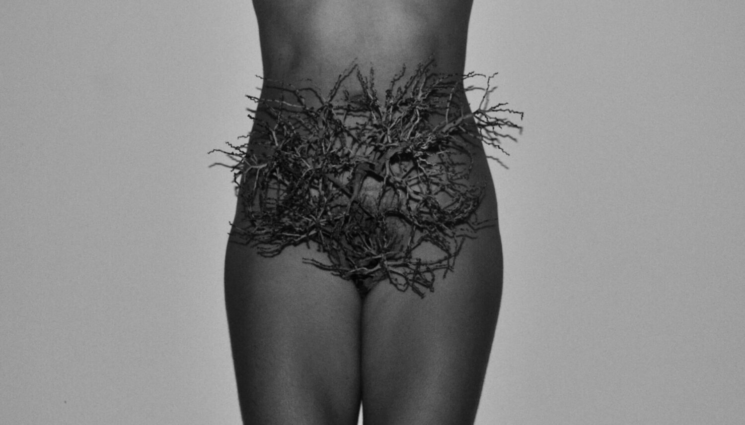  Work(s) by Eliana Amorim.  From activity NTÚ. 