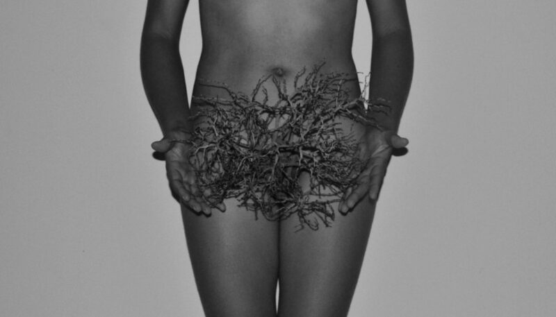  Work(s) by Eliana Amorim.  From activity NTÚ. 