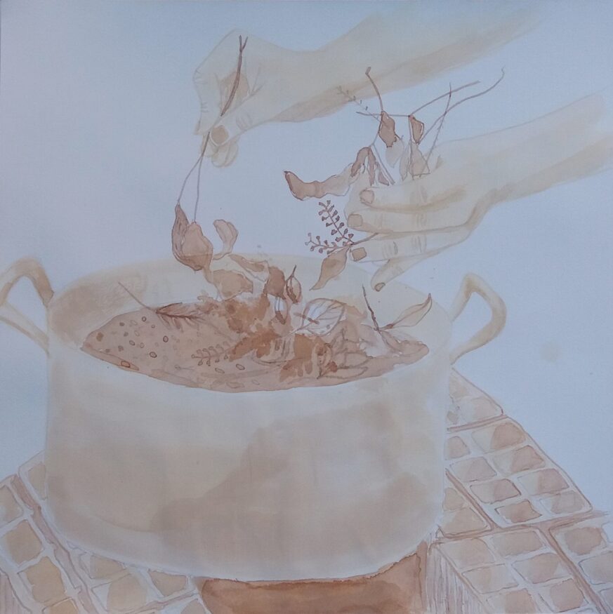  Work(s) by Eliana Amorim.  From activity NTÚ. 