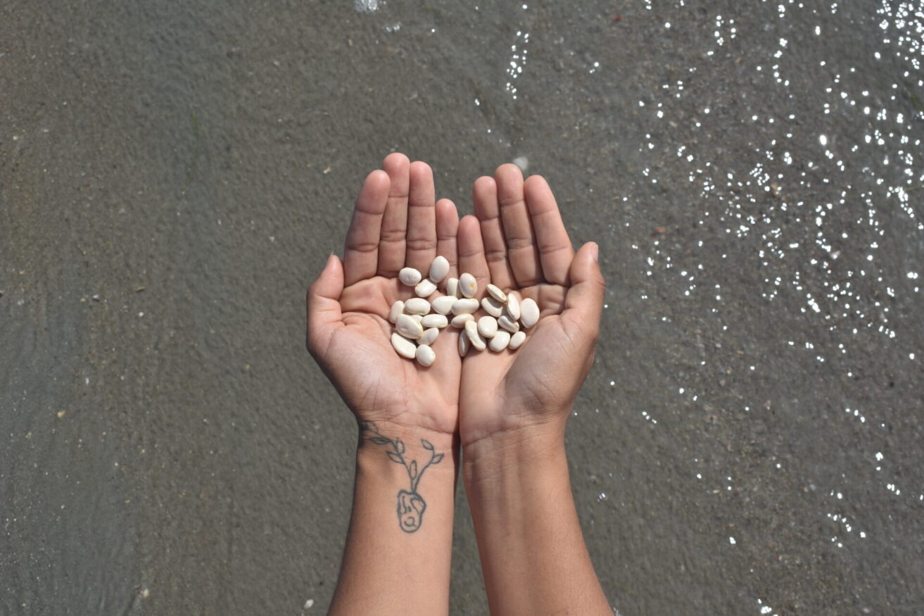  Work(s) by Maria Macedo.  From activity NTÚ. 