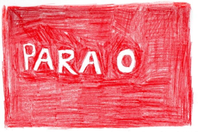  Work(s) by Dayane Tropicaos.  From activity Para Nossos Vizinhos de Sonhos. 