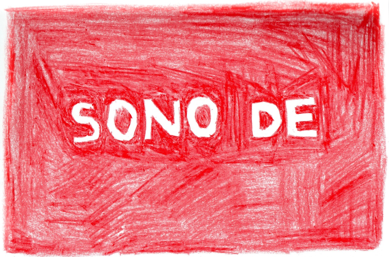  Work(s) by Dayane Tropicaos.  From activity Para Nossos Vizinhos de Sonhos. 