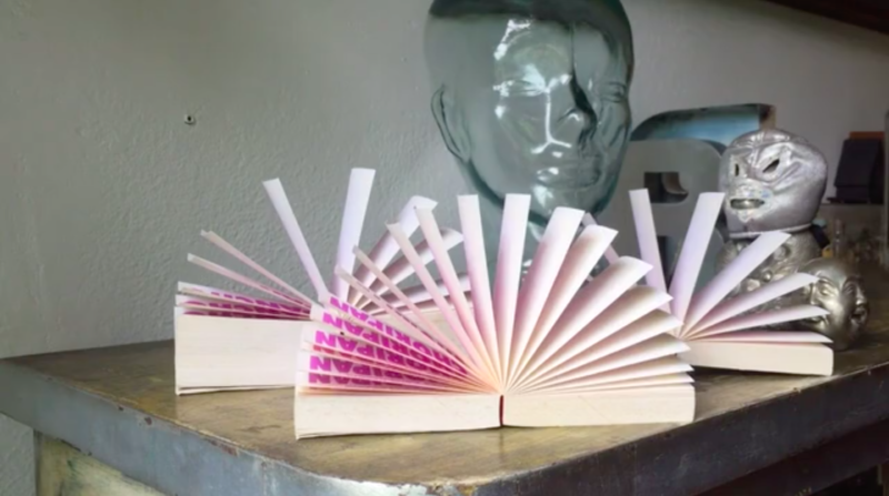  Work(s) by Rochelle Costi.  From activity Para Nossos Vizinhos de Sonhos. 